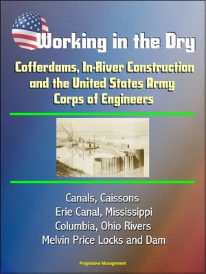 cover image of Working in the Dry